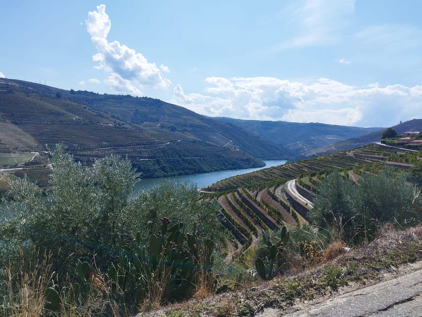 From Pinhão: Douro Valley Tour w/ Wine Tasting and Boat Trip - What happens at the winery
