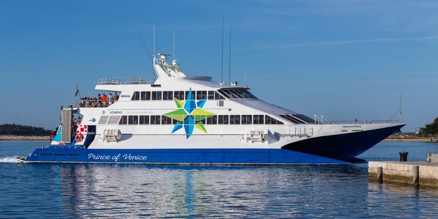 From Porec: Venice Catamaran Crossing One-Way or Round-Trip - Reaching Venice through the lagoon