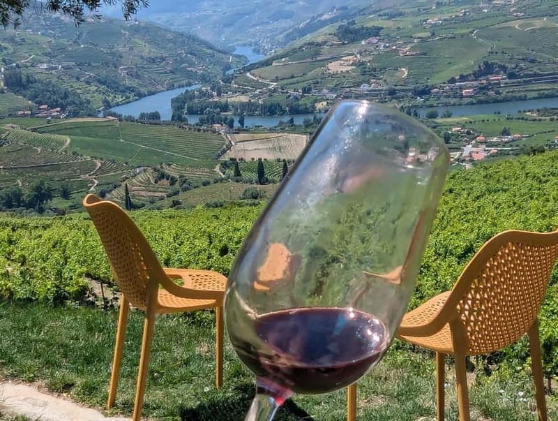 From Porto: 2 Wine Regions, Farm-to-Table Lunch & Boat - Who should book this Douro experience