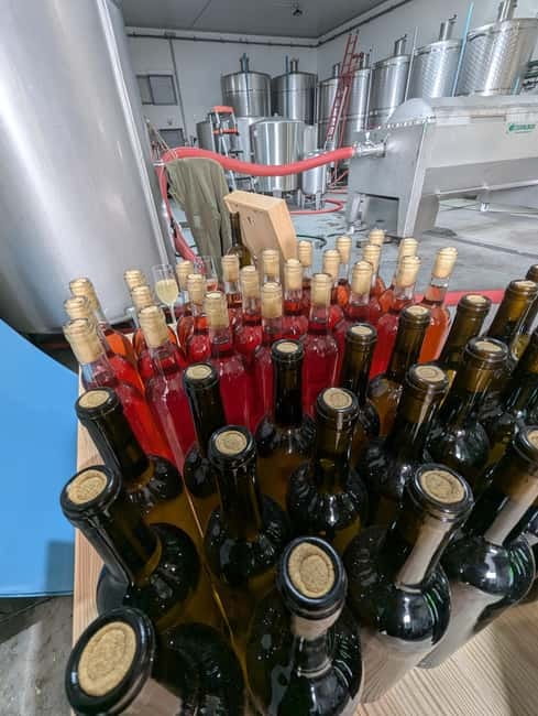 From Porto: 2 Wine Regions, Farm-to-Table Lunch & Boat - The fire-opened Vintage Port