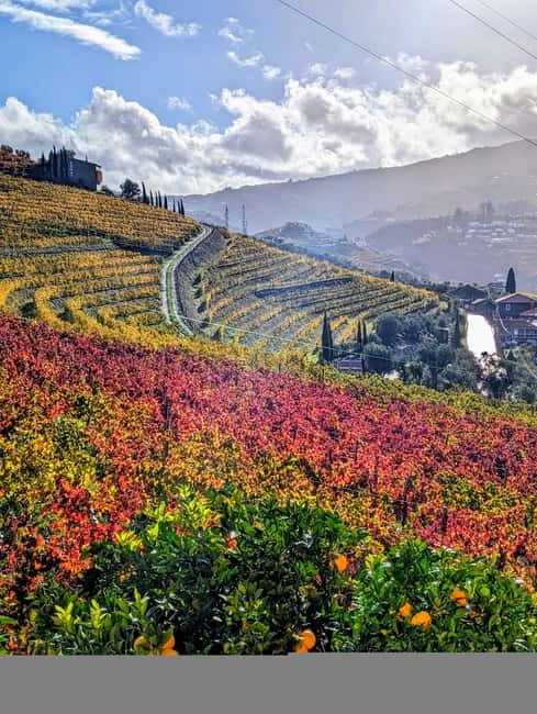 From Porto: 2 Wine Regions, Farm-to-Table Lunch & Boat - Pinhão and the one-hour Douro cruise