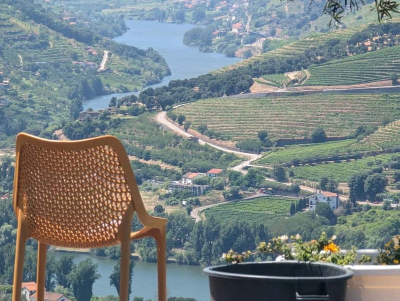 From Porto: 2 Wine Regions, Farm-to-Table Lunch & Boat - The guides and group atmosphere