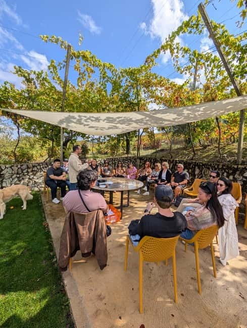 From Porto: 2 Wine Regions, Farm-to-Table Lunch & Boat - Timing, comfort, and practical limits