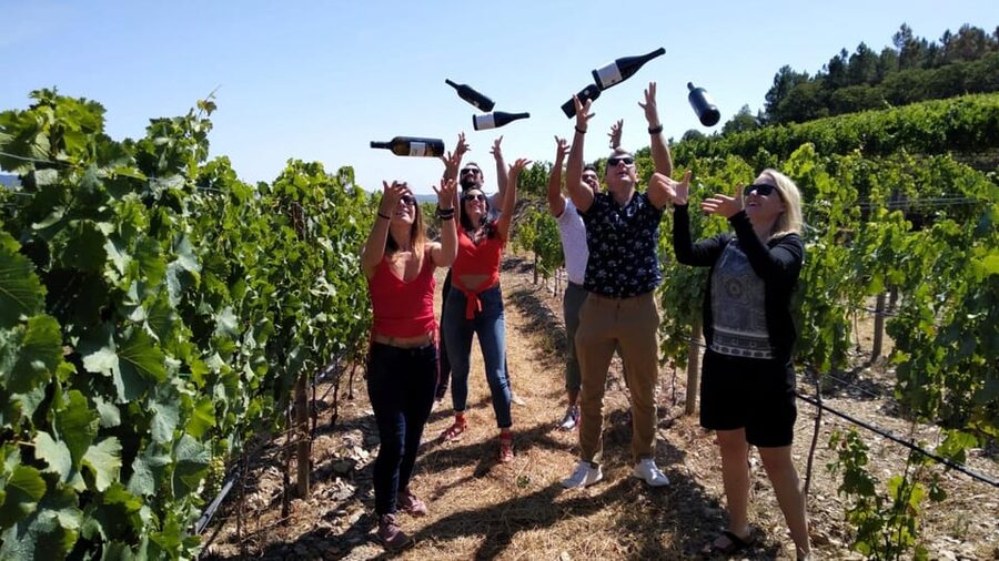 From Porto: Douro Valley Tour with Tastings, Boat & Lunch - The 90-minute drive into wine country