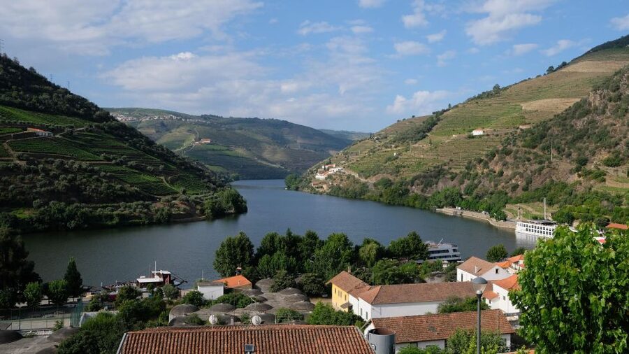 From Porto: Douro Valley Tour with Tastings, Boat & Lunch - Pinhão and the Douro River cruise
