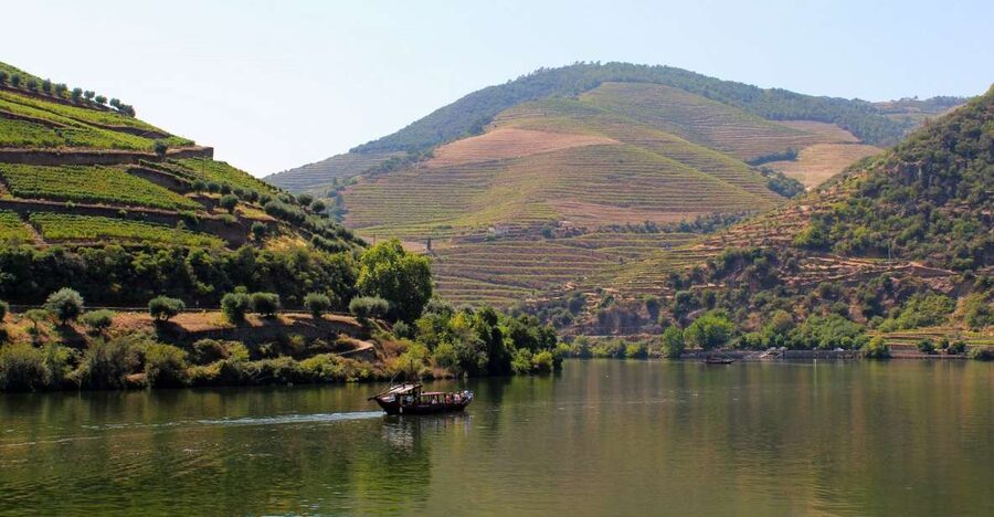 From Porto: Douro Valley Tour with Tastings, Boat & Lunch - Lunch with Douro wine