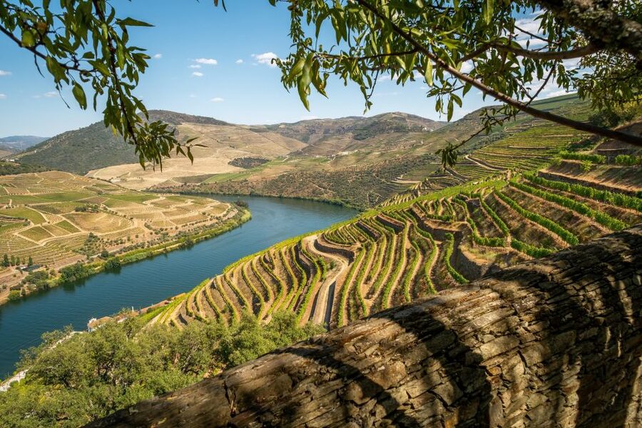 From Porto: Douro Valley Tour with Tastings, Boat & Lunch - Who should book this Douro tour?