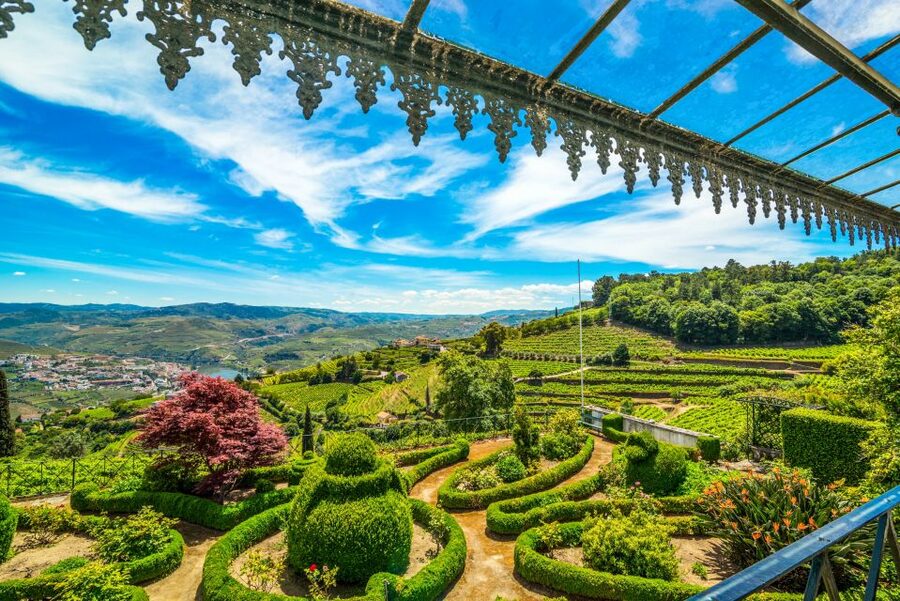 From Porto: Douro Valley w/ Boat Tour, Wine Tasting & Lunch - Pinhão’s second wine visit