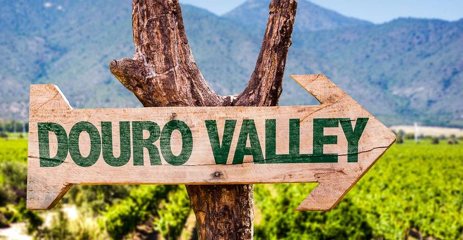 From Porto: Douro Valley w/ Boat Tour, Wine Tasting & Lunch - What the reviews reveal about the real experience