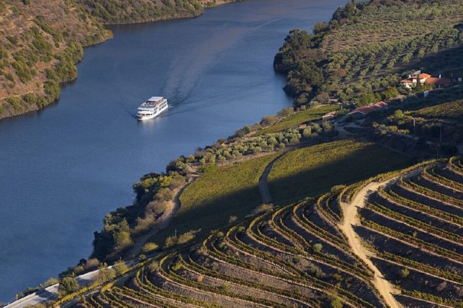 From Porto: Régua to Porto River Cruise with Lunch on Board - Starting in Porto and reaching Régua