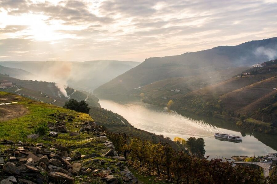 From Porto: Régua to Porto River Cruise with Lunch on Board - What the $84 price really covers