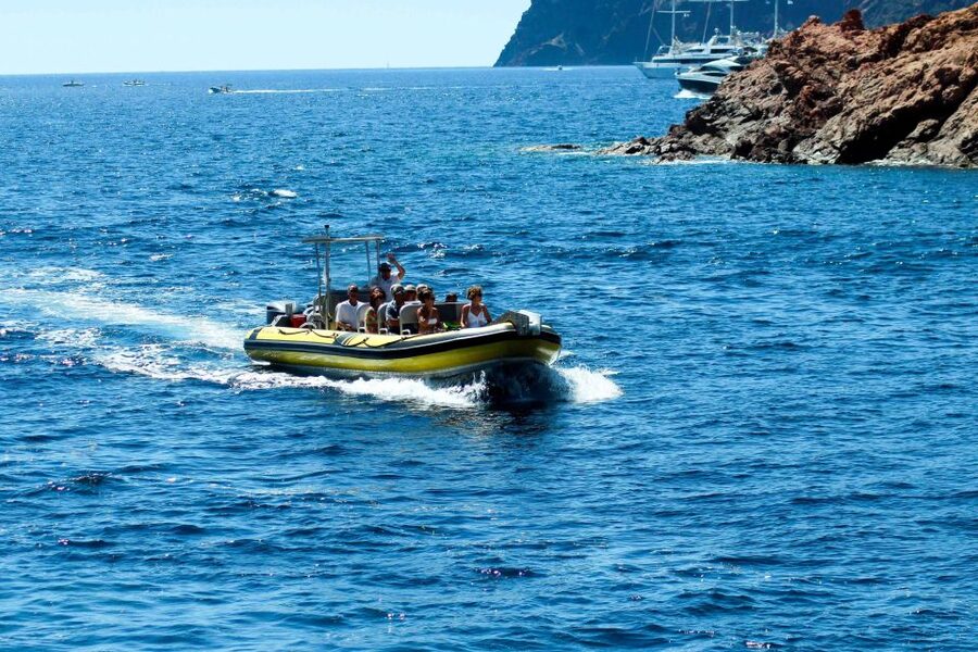 From Porto: Scandola and Calanche de Piana Boat Tour - Scandola Nature Reserve from the water