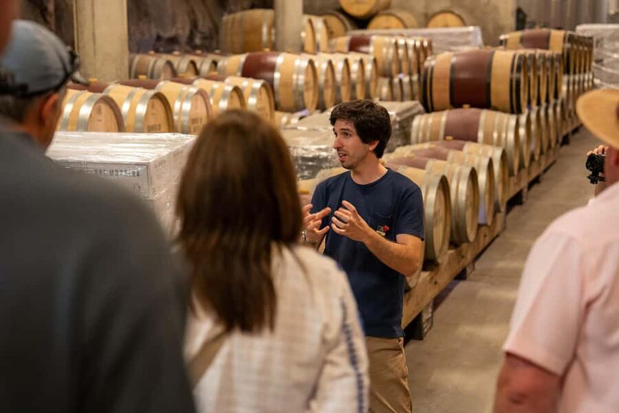 From Porto: Small Group Douro Valley Tour with Wine & Cruise - A river cruise from Pinhão