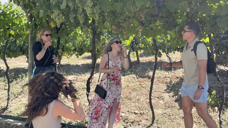 From Porto: Tastings at 2 Wineries, Chef's Lunch & Boat Tour - Lunch at the family wine estate