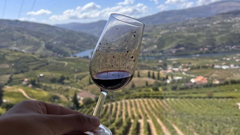 From Porto: Tastings at 2 Wineries, Chef's Lunch & Boat Tour - Eleven tastings and how to handle them