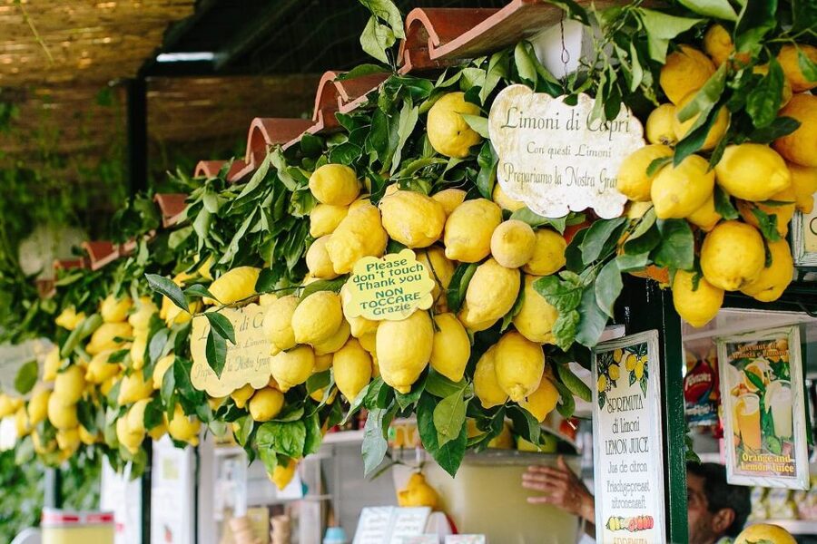 From Positano: Sorrento Coast & Capri Full-Day Trip by Boat - Drinks, snacks, music, and the return cruise