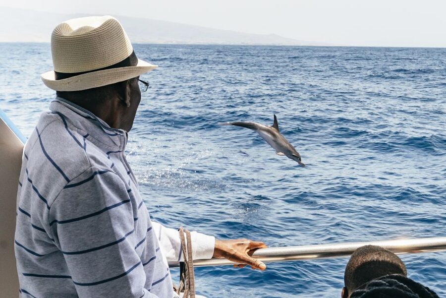 From Puerto Rico de Gran Canaria: Dolphin Watching Cruise - A closer look at Spirit of the Sea