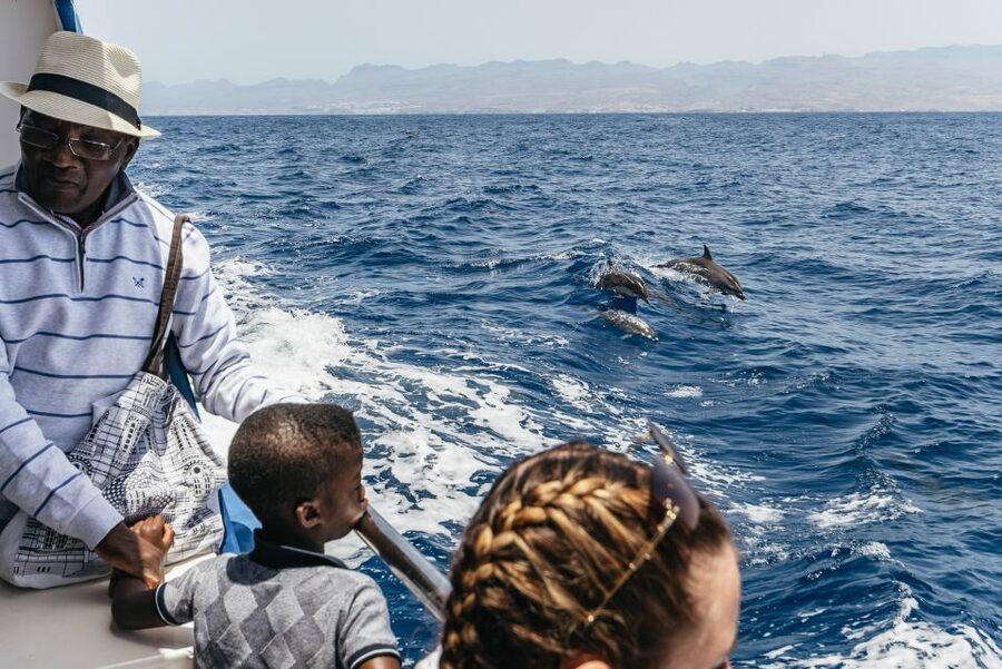From Puerto Rico de Gran Canaria: Dolphin Watching Cruise - Sea conditions and motion sickness