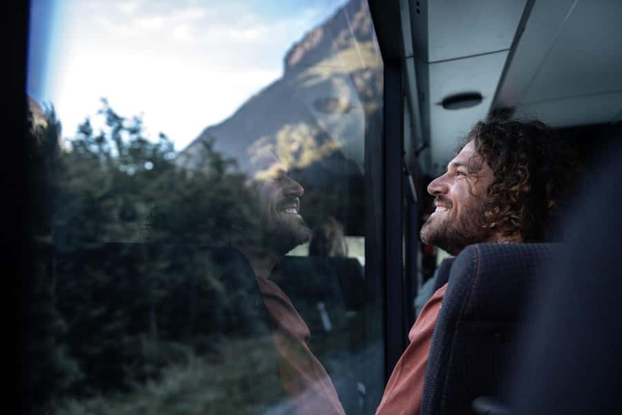 From Queenstown: Milford Sound Cruise and Coach Day Tour - Wildlife, weather, and what you may actually see