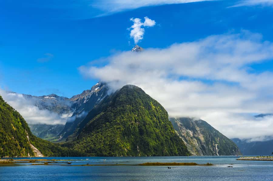 From Queenstown Milford Sound Cruise & Glass-Roof Coach Tour - Te Anau: a practical first break