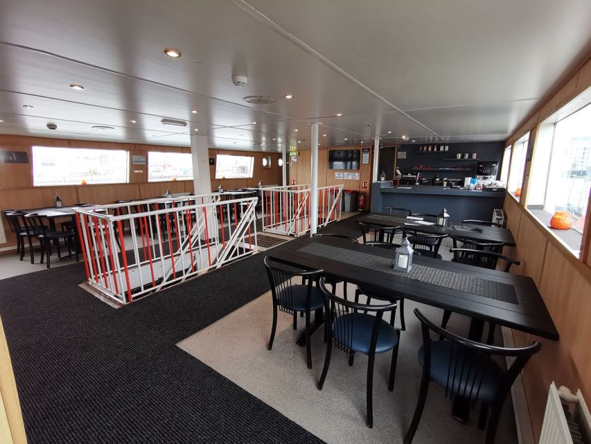 From Reykjavik: Northern Lights Sightseeing Cruise - Key points before you book