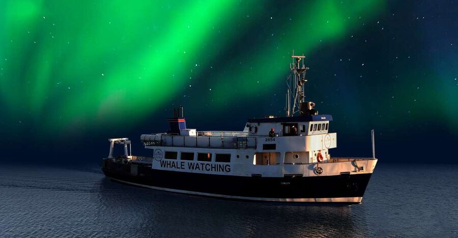 From Reykjavik: Northern Lights Sightseeing Cruise - Leaving Reykjavík under a darkening sky