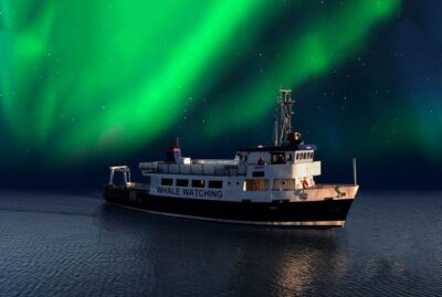 Northern Lights Sightseeing Cruise