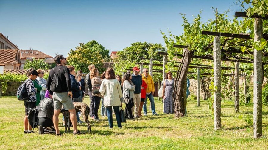 From Santiago: Tour to Rias Baixas with Boat Trip and Winery - La Lanzada, Sea Views, and a Short Walk