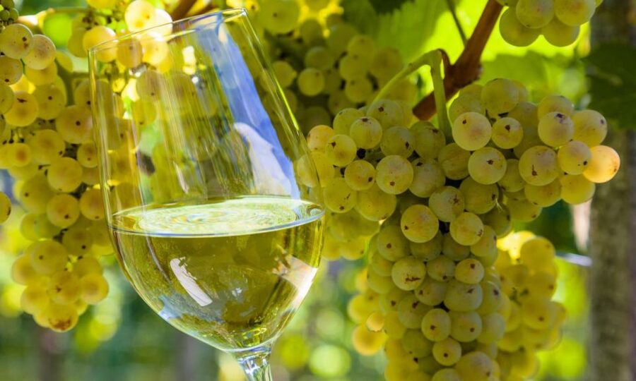 From Santiago: Tour to Rias Baixas with Boat Trip and Winery - The Rías Baixas Boat Ride