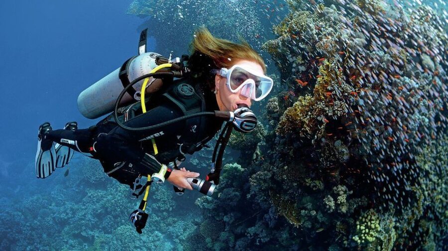 From Sharm: Ras Muhammed & White Island By Boat & intro Dive - Key points to know before booking