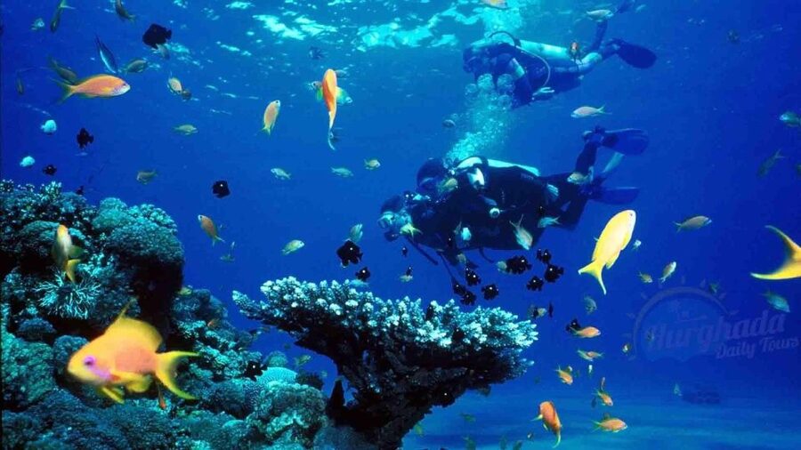 From Sharm: Ras Muhammed & White Island By Boat & intro Dive - What happens at the first water stop