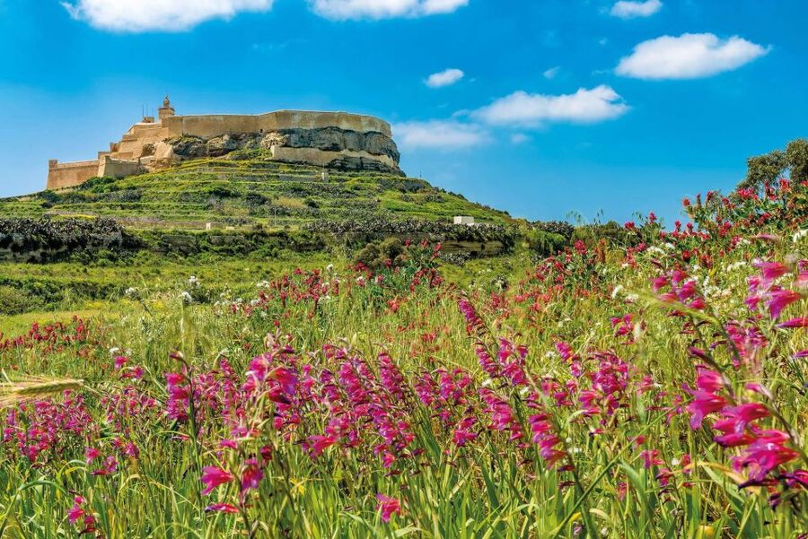 From Sliema: Gozo, Comino & The Blue Lagoon Boat & Bus Tour - Sailing past the Comino sea caves