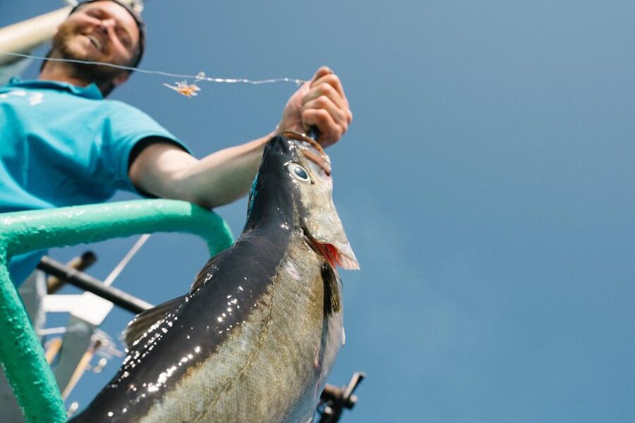 From Svolvaer: Lofoten Fishing Boat Cruise - Fishing from Svolvær, with dinner as the souvenir