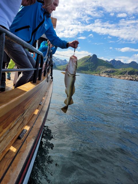 From Svolvaer: Lofoten Fishing Boat Cruise - Leaving Sjømannsgata 5 for the Lofoten Sea