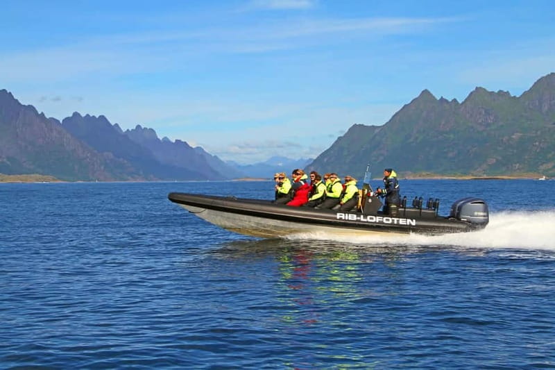 From Svolvær: Lofoten RIB Sea Eagle Safari Trollfjord Cruise - Key points to know before booking