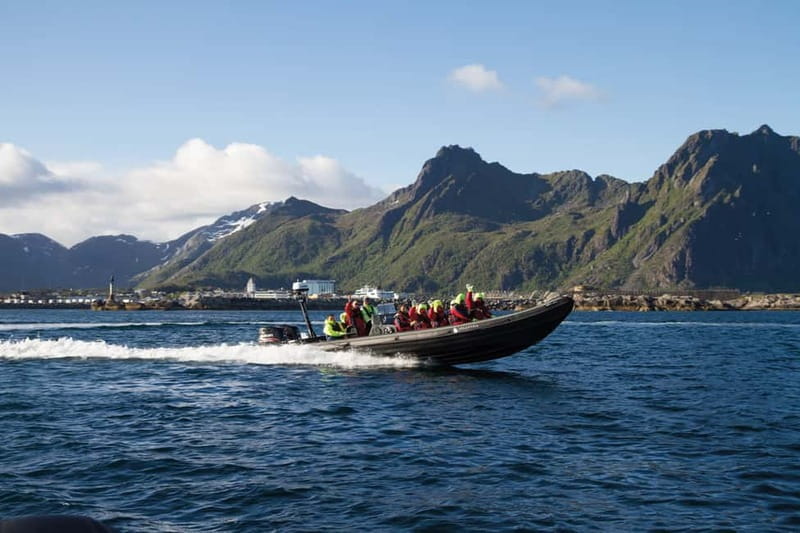 From Svolvær: Lofoten RIB Sea Eagle Safari Trollfjord Cruise - Why the sea eagle encounter is the main event