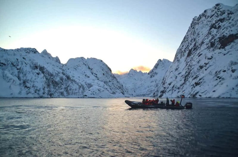 From Svolvær: Lofoten RIB Sea Eagle Safari Trollfjord Cruise - Cold-weather planning for every season