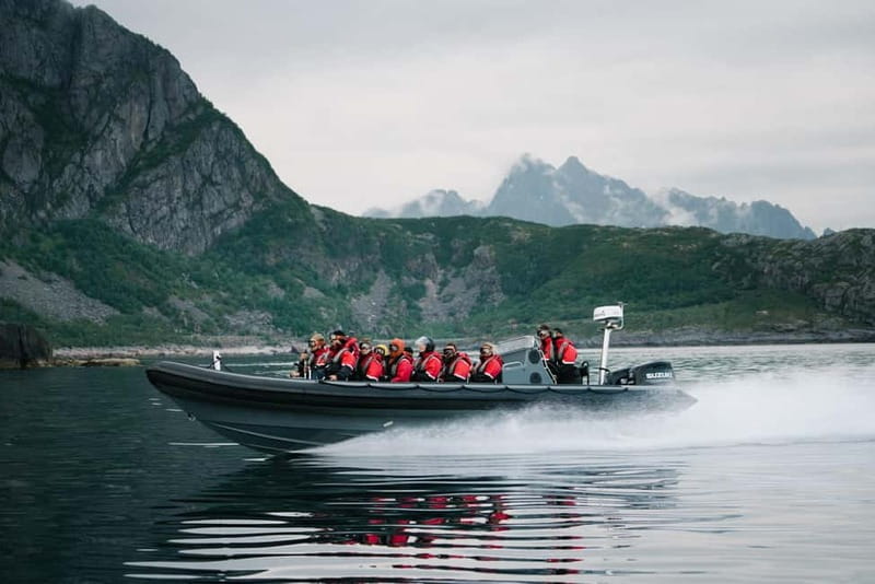 From Svolvær: RIB Boat Lofoten Trollfjord Sea Eagle Safari - Watching white-tailed sea eagles at close range