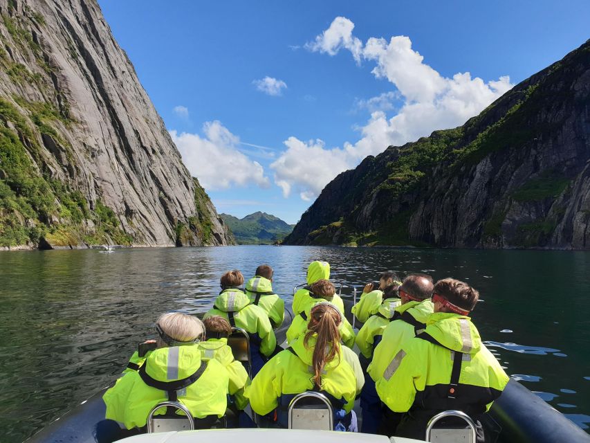 From Svolvaer: Trollfjorden Wildlife RIB Cruise - Key points to know before booking