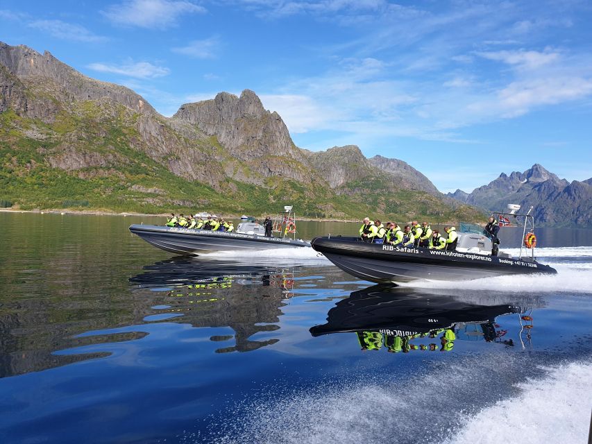 From Svolvaer: Trollfjorden Wildlife RIB Cruise - Trollfjord from the water