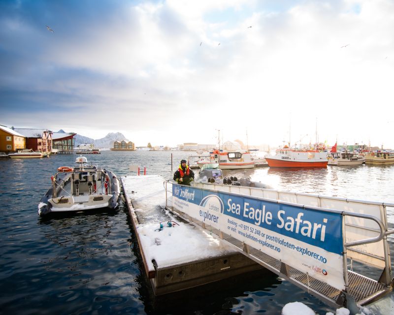 From Svolvaer: Trollfjorden Wildlife RIB Cruise - Skrova, beaches, and coastal history