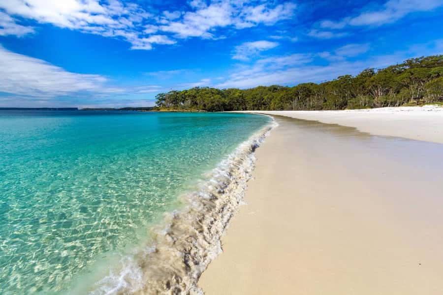 From Sydney: Jervis Bay Day Tour and Dolphin Watching Cruise - Huskisson for lunch and a breather