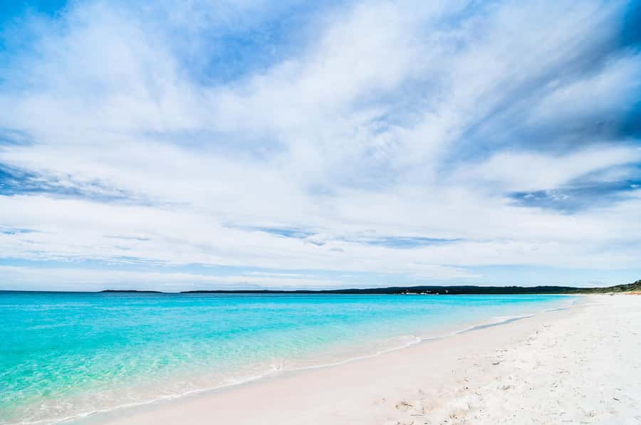 From Sydney: Jervis Bay Day Tour and Dolphin Watching Cruise - Who should book this day trip