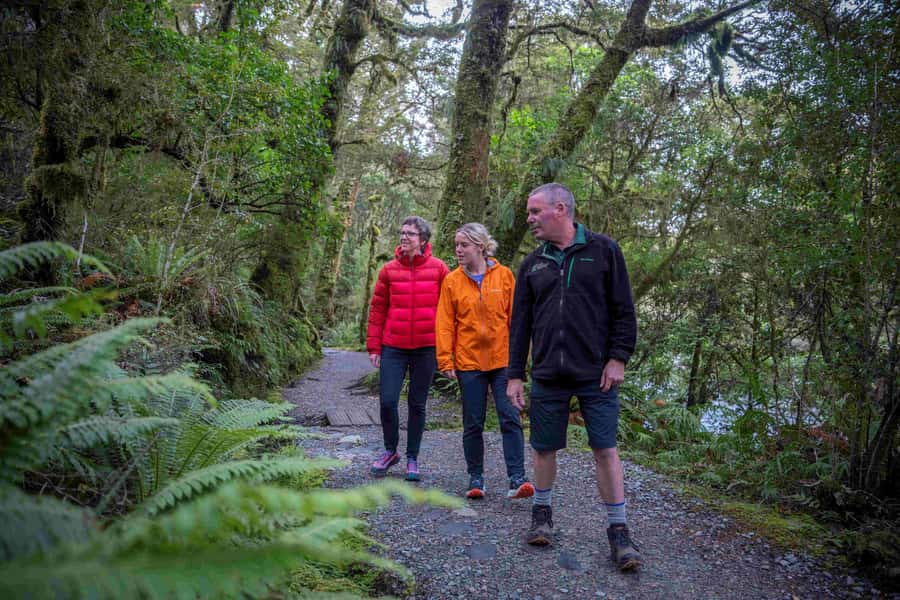 From Te Anau: Milford Sound Coach, Cruise, and Walks - Booking details worth knowing