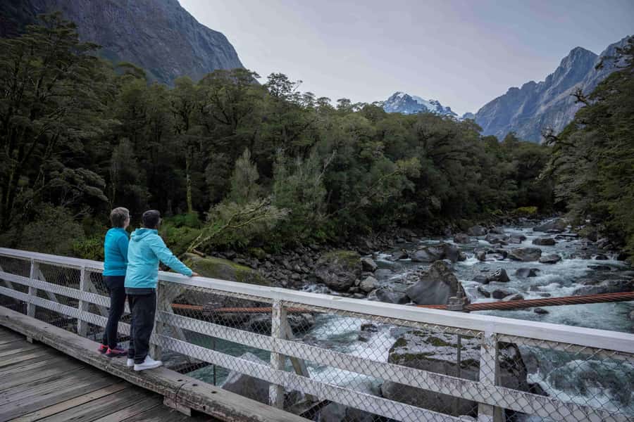 From Te Anau: Milford Sound Coach, Cruise, and Walks - The Milford Road is part of the tour