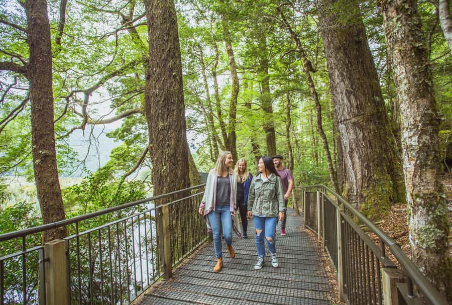 From Te Anau: Milford Sound Coach Tour and Cruise - Should you book the Milford Sound day trip?