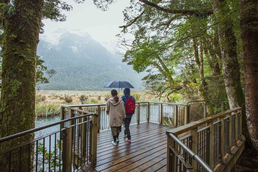 From Te Anau: Milford Sound Coach Tour and Cruise - Weather, clothing, and the best way to prepare
