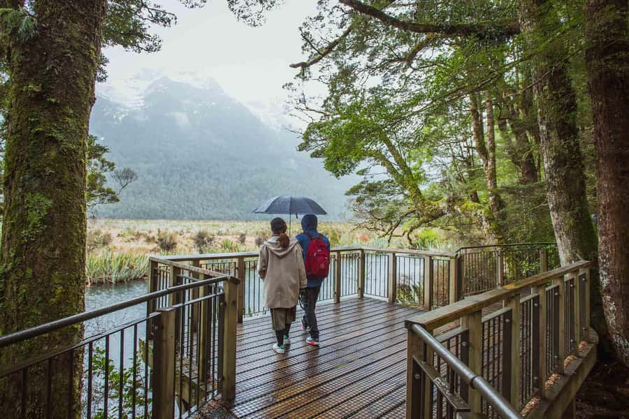 From Te Anau: Milford Sound Coach Tour and Cruise - The coach ride through Fiordland