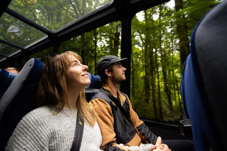 From Te Anau: Milford Sound Cruise and Coach Day Trip - Rain can improve the waterfalls