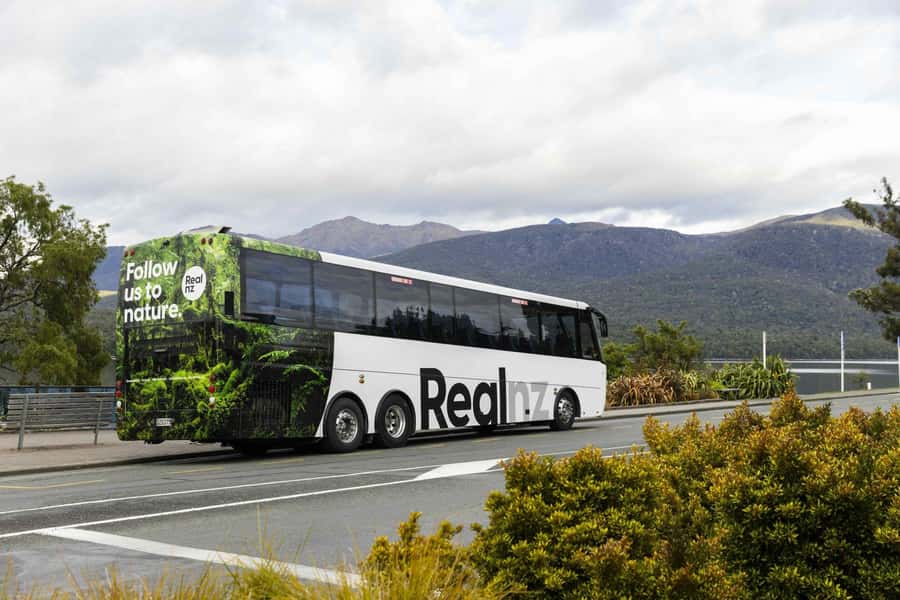 From Te Anau: Milford Sound Cruise and Coach Day Trip - Wildlife is possible, not promised